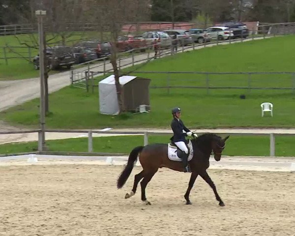 Reitturnier Gut Bohmerhof/Obb. 2023