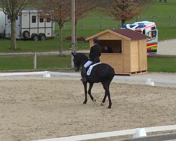 Reitturnier Gut Bohmerhof/Obb. 2023