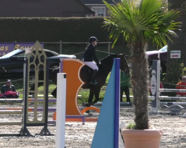 Reitturnier Handorf 2023