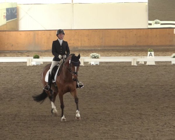 Reitturnier Hildesheim-Steuerwald 2023