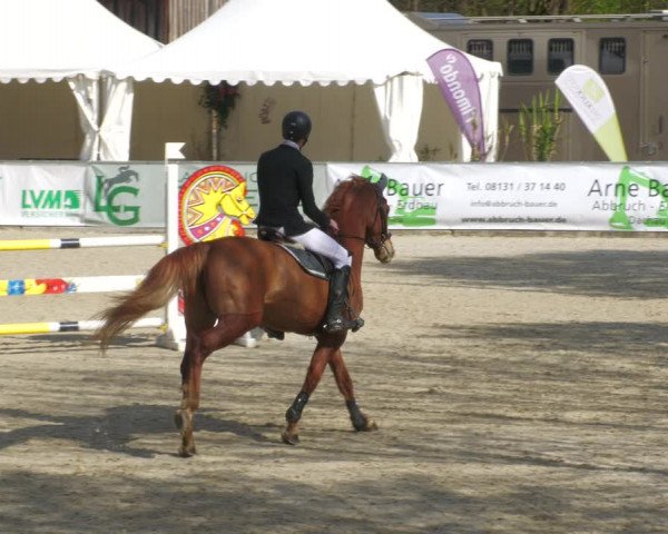 Reitturnier Karlsfeld 2023