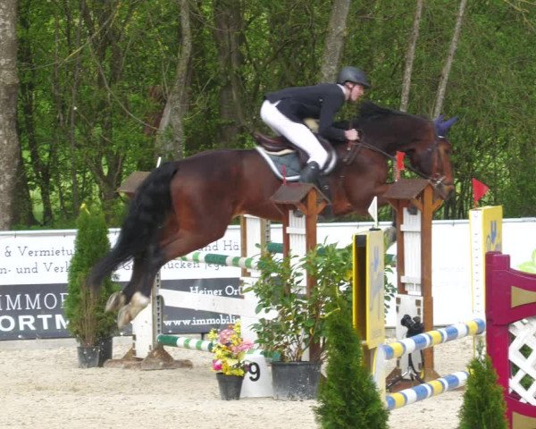 Reitturnier Karlsfeld 2023