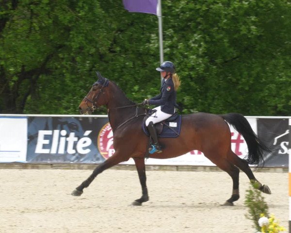 Reitturnier Karlsfeld 2023