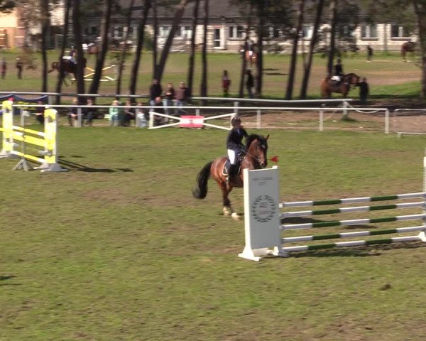 Reitturnier Colbitz 2023