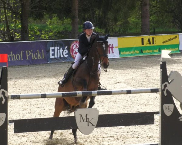 Reitturnier Karlsfeld 2023