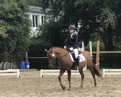 broodmare Hove's Lina (New Forest Pony, 2008, from Wootton Dancing Lord)