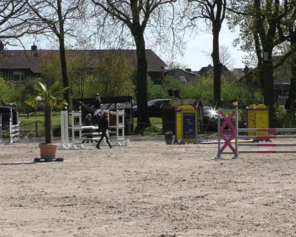 Reitturnier Handorf 2023