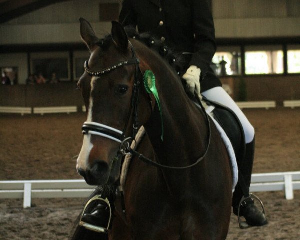 dressage horse Carry on 13 (Oldenburg, 2006, from Carry Gold)