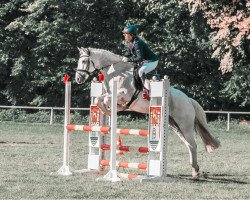 jumper Claashof Merlyn (Connemara-Pony, 2011, from Skousboe Morning Rock)