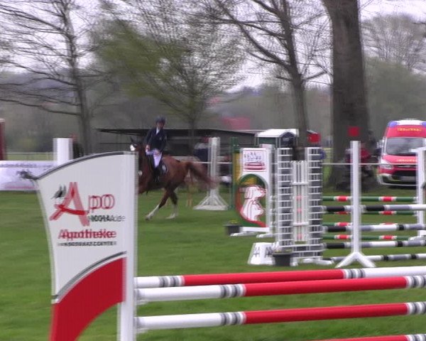 Reitturnier Derenburg 2023