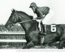stallion Dr. Fager xx (Thoroughbred, 1964, from Rough'n Tumble xx)
