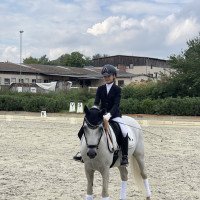 dressage horse De Sjiem 3 (German Riding Pony, 2012, from Dornik B)