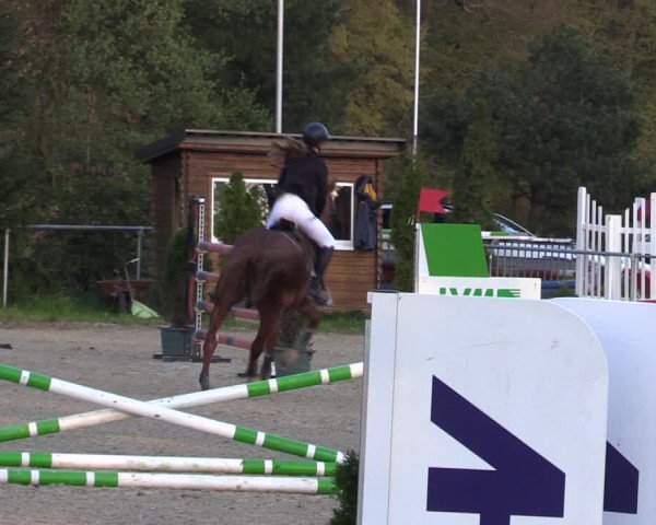 Reitturnier Bad Liebenstein/Sorga 2023