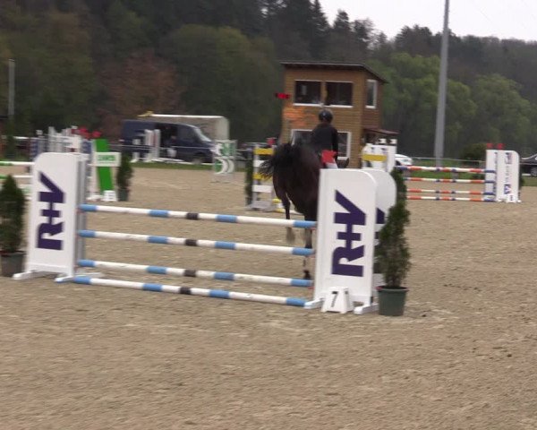 Reitturnier Bad Liebenstein/Sorga 2023