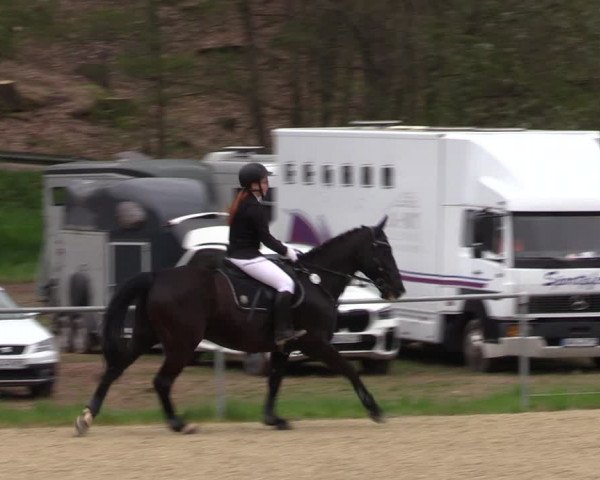 Reitturnier Bad Liebenstein/Sorga 2023
