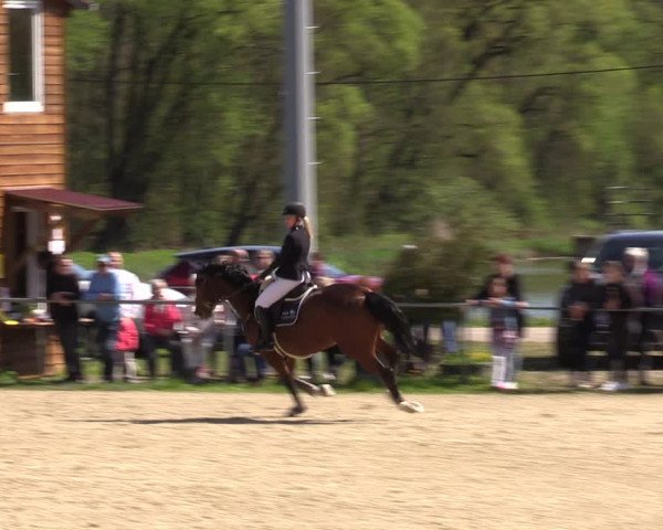 Reitturnier Bad Liebenstein/Sorga 2023