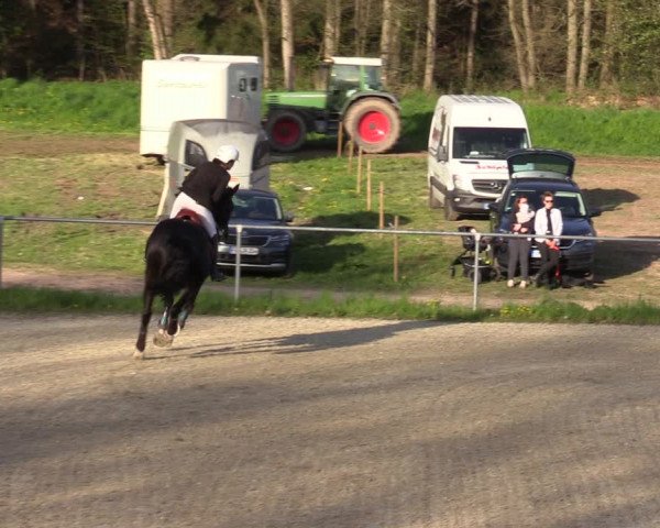 Reitturnier Bad Liebenstein/Sorga 2023