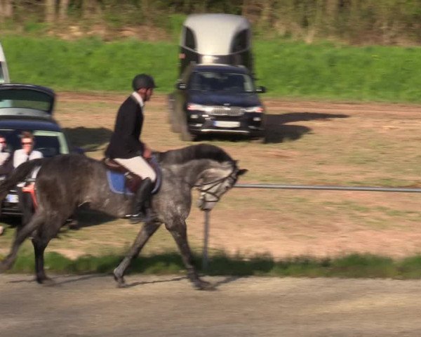Reitturnier Bad Liebenstein/Sorga 2023