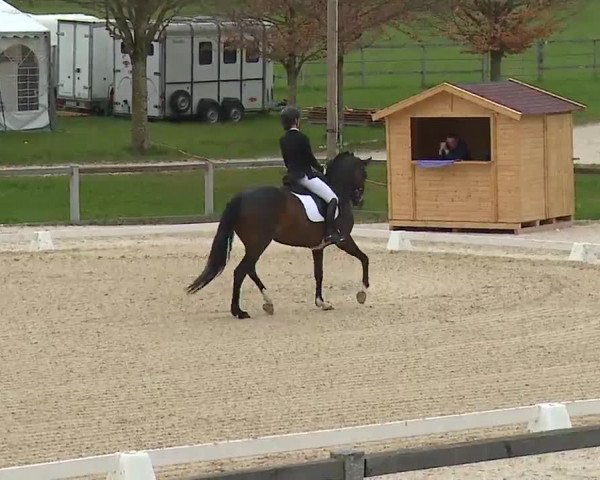 Reitturnier Gut Bohmerhof/Obb. 2023