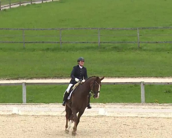 Reitturnier Gut Bohmerhof/Obb. 2023