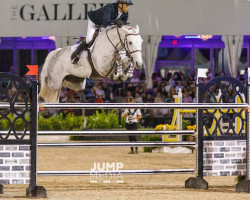 broodmare Greya (Oldenburg show jumper, 2014, from Colestus)