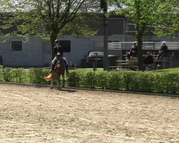 Reitturnier Olfen-Vinnum 2023