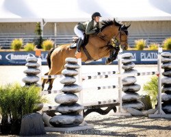 Springpferd Jabrun Lvp (Belgisches Warmblut, 2015, von Canturano I)