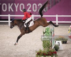 jumper Baloutinue (Hanoverian, 2010, from Balou du Rouet)