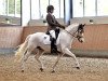 dressage horse HET Don Juan (German Riding Pony, 2014, from Donnerwetter)