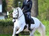 dressage horse Not Black (German Riding Pony, 2013, from Nobel Nagano NRW)