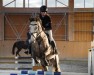 jumper Curly L 3 (Oldenburg show jumper, 2017, from Coupie)