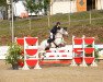 jumper Kildromin Cian (Connemara Pony, 2012, from Tullykyne Prince)