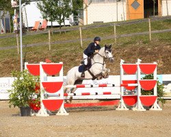 Dressurpferd Kildromin Cian (Connemara-Pony, 2012, von Tullykyne Prince)