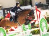 jumper Chatou 7 (Oldenburg show jumper, 2009, from Chacco-Blue)