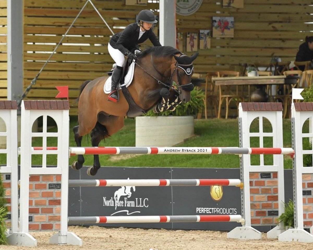 jumper Con Baloubet PS (Oldenburg show jumper, 2014, from Conthargos)