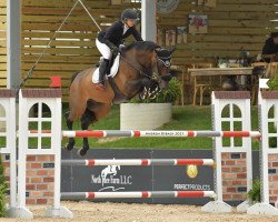 jumper Con Baloubet PS (Oldenburg show jumper, 2014, from Conthargos)