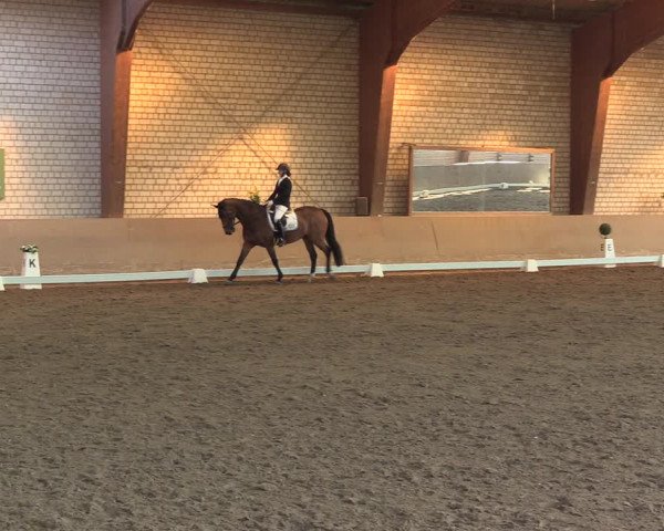 Reitturnier Kamen 2023