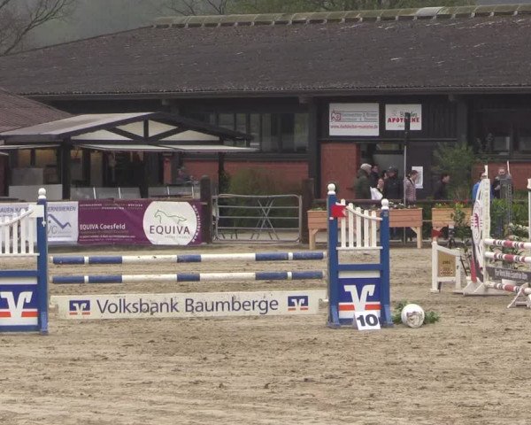 Reitturnier Havixbeck 2023