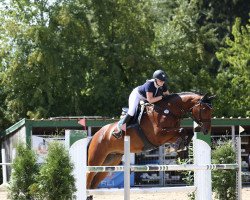 jumper Monte Collini (Westfale, 2010, from Monte Bellini)