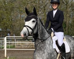 jumper Karja Sue (Hanoverian, 2018, from Karajan)