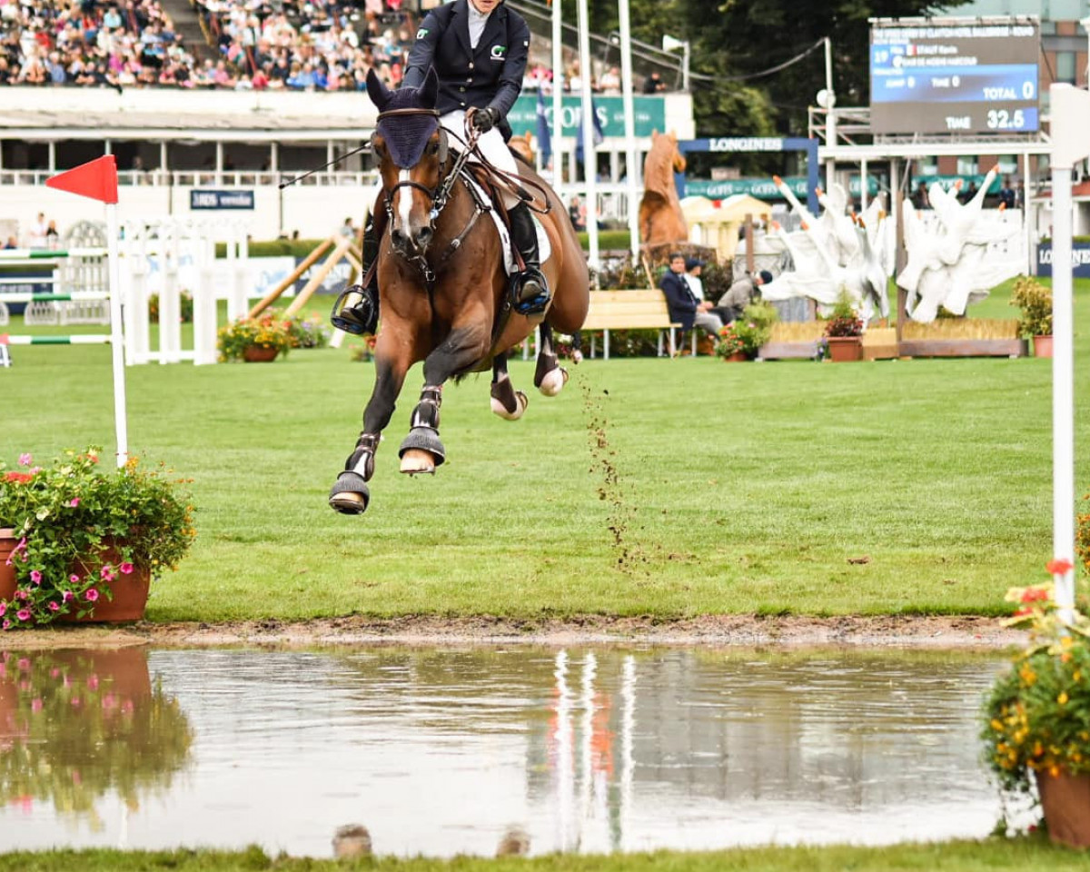 jumper Aconzina PS (Oldenburg show jumper, 2014, from Action-Breaker)