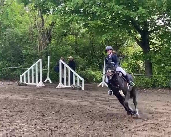 Video von Lady Royal Cleopatra