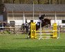 dressage horse Esplendida Gd (Hanoverian, 2019, from Edward 28)