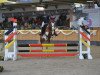 jumper Patch Sg (German Riding Pony, 2017, from Paul SG)