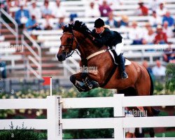 Pferd ST Ludwigs Diamond Exchange (Irish Sport Horse, 1983, von Diamond Serpent)