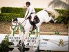 jumper Boleybawn Cooley (Irish Sport Horse, 2013, from Dignified van't Zorgvliet)