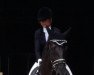 dressage horse Rossana Diva 3 (Oldenburg, 2012, from De Niro)