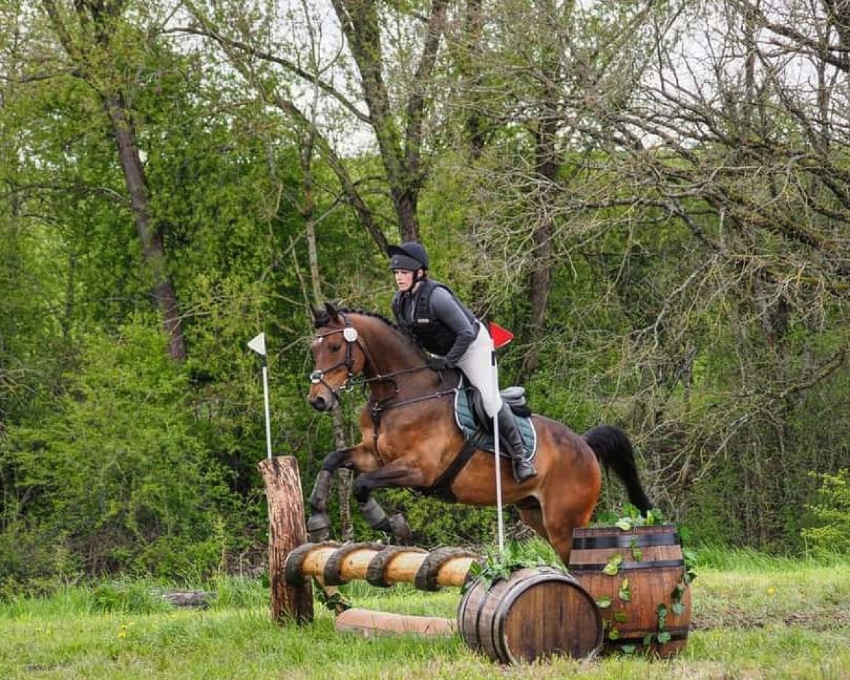 Springpferd Fire D'Elle (Oldenburger Springpferd, 2011, von Flipper d'Elle)