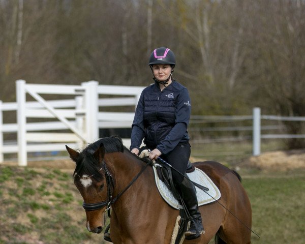 Springpferd Especially for me 3 (Deutsches Sportpferd, 2018, von Eldorado vd Zeshoek Tn)