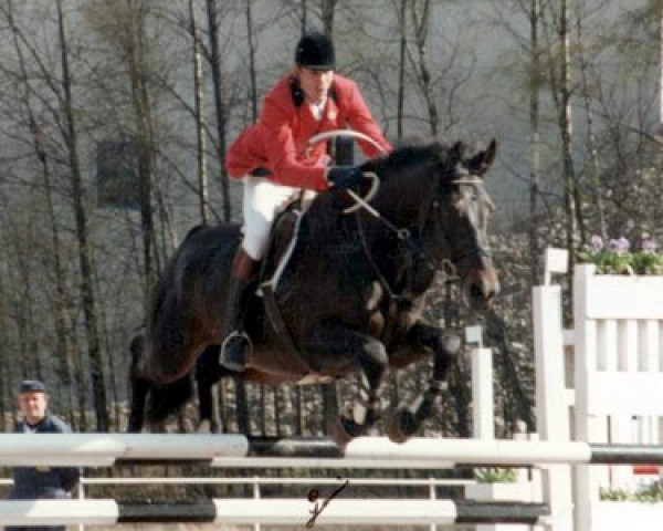 stallion Piolun 75 FIN (Great Poland (wielkopolska), 1977, from Oran I)